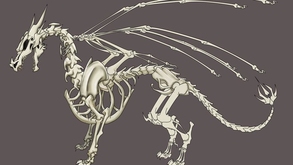 dragon anatomy - skeleton